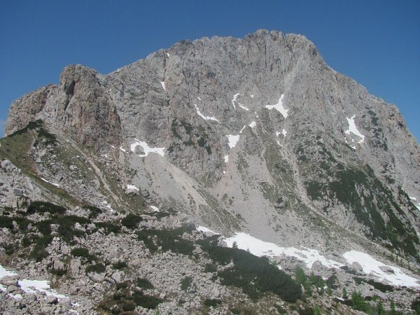 Paleontološke terenske vaje pod Trogkoflom