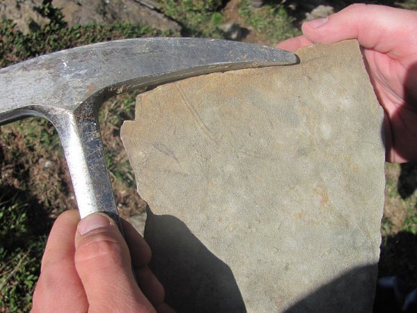 Paleontološke terenske vaje pod Trogkoflom