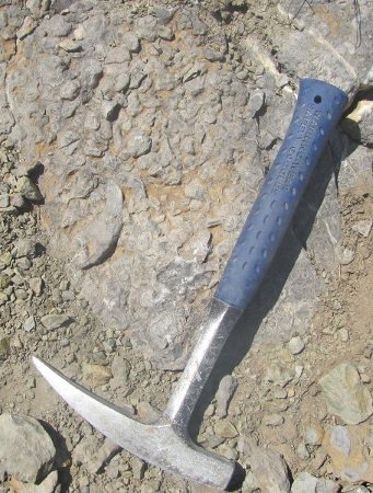 Paleontološke terenske vaje pod Trogkoflom