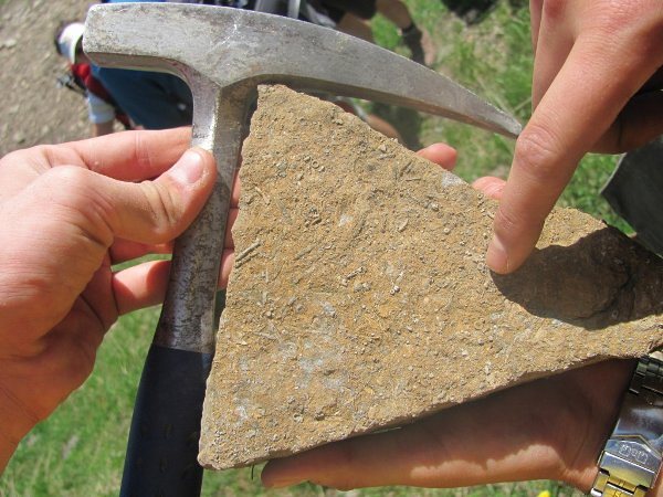 Paleontološke terenske vaje pod Trogkoflom