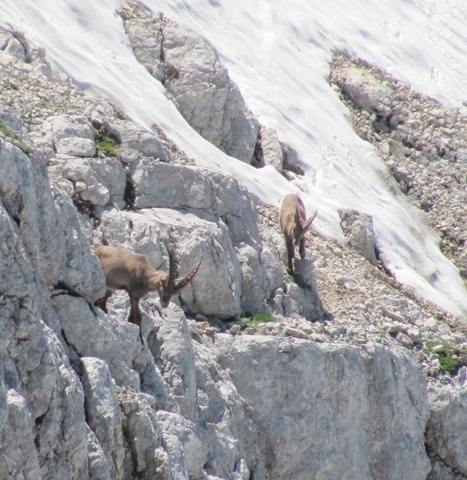 Kopija od 090710 (310)