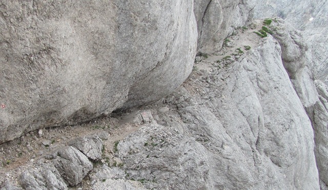 Kopija od 19072010 (112)