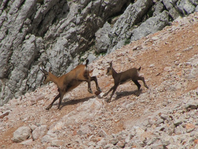 Kopija od 19072010 (58)