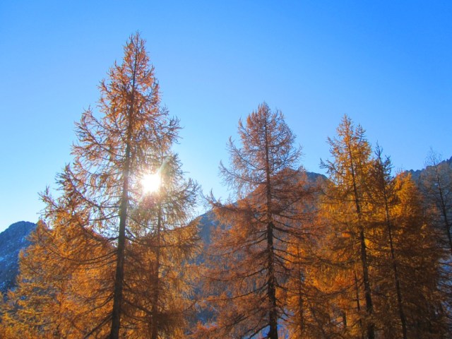 31102011 (62) - Kopija