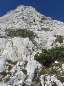 24102012 (157) - Kopija