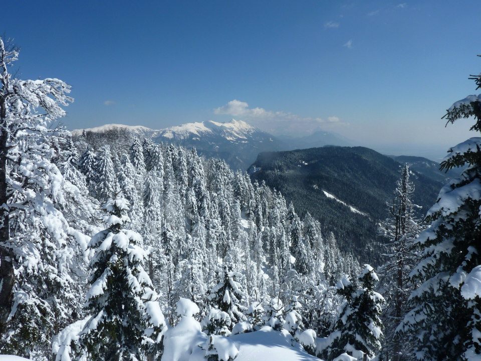 69197_10151364644731309_1908257606_n