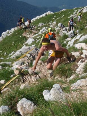 1005350_10151487583300806_1062190954_n