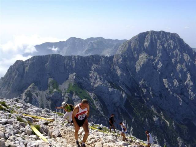 1011568_10151828707692642_178706276_n