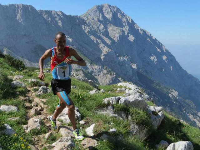 547082_10151828605247642_79020582_n