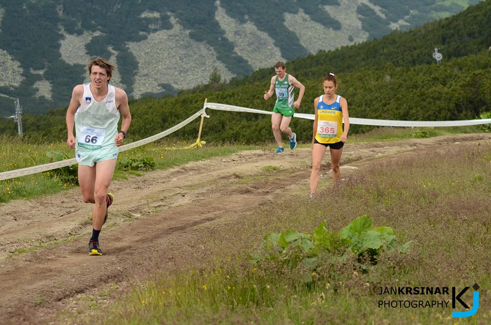 954617_348509291918608_227425988_n