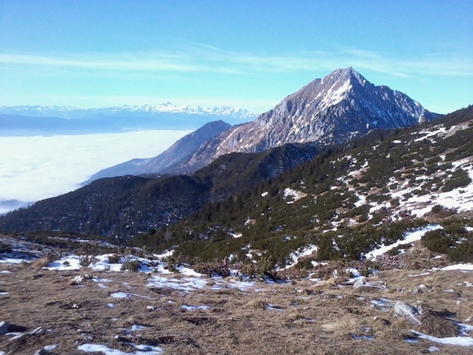 Fotografija0255 - Kopija