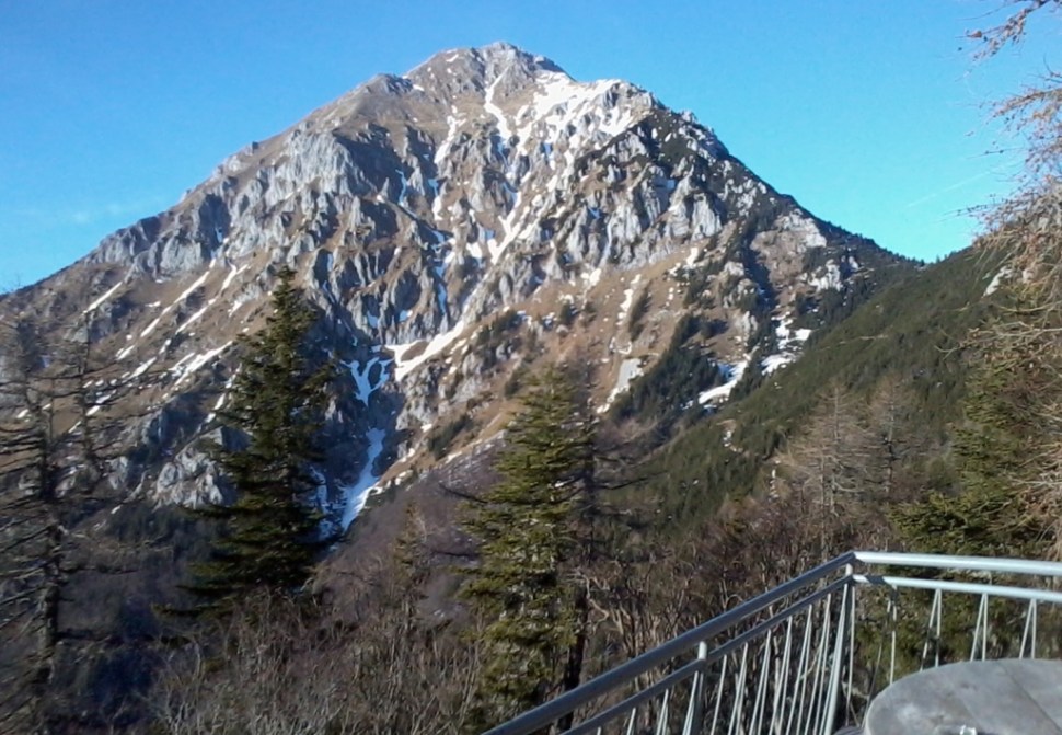 Fotografija0272 - Kopija