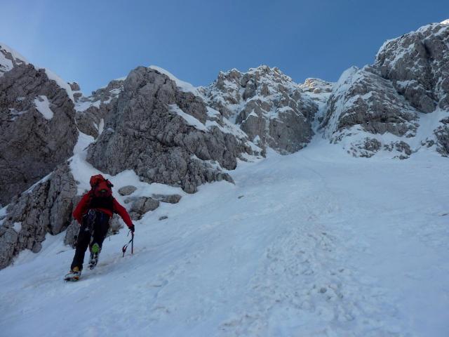 1781785_10152059440221309_747078038_o