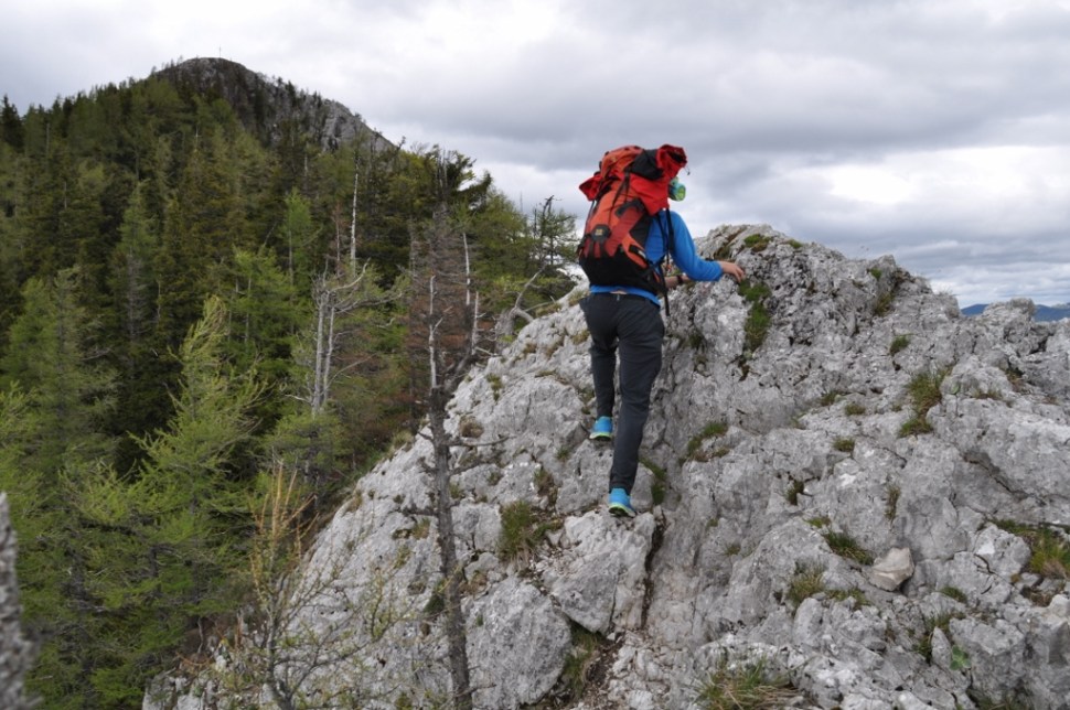 DSC_0176 (1024 x 680)