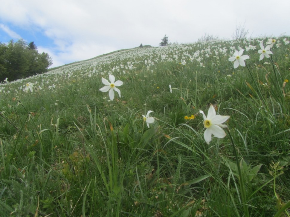 IMG_0023 (1024 x 768)