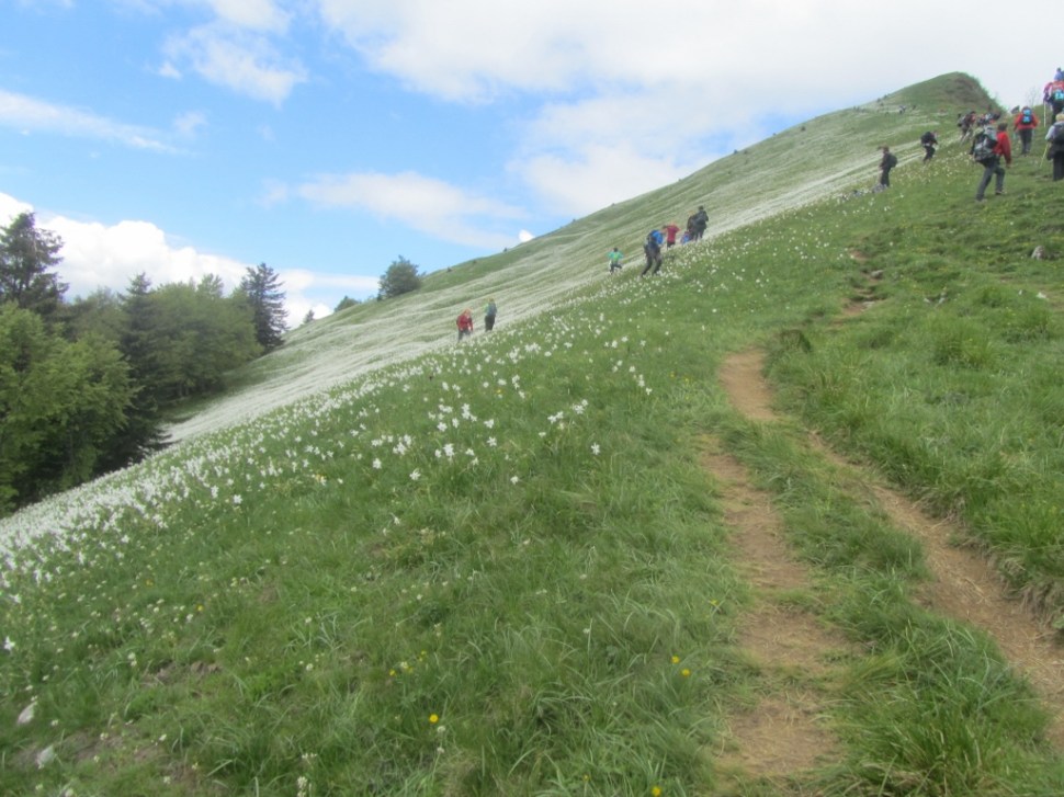 IMG_0028 (1024 x 768)