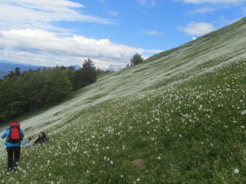 IMG_0033 (1024 x 768)