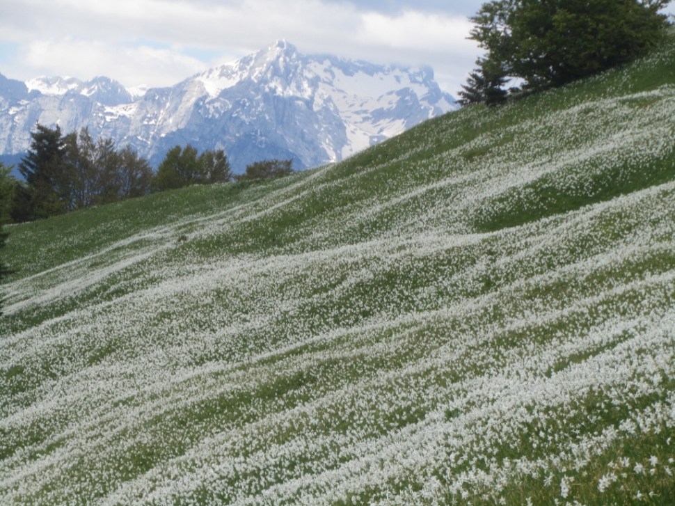 IMG_0039 (1024 x 768)