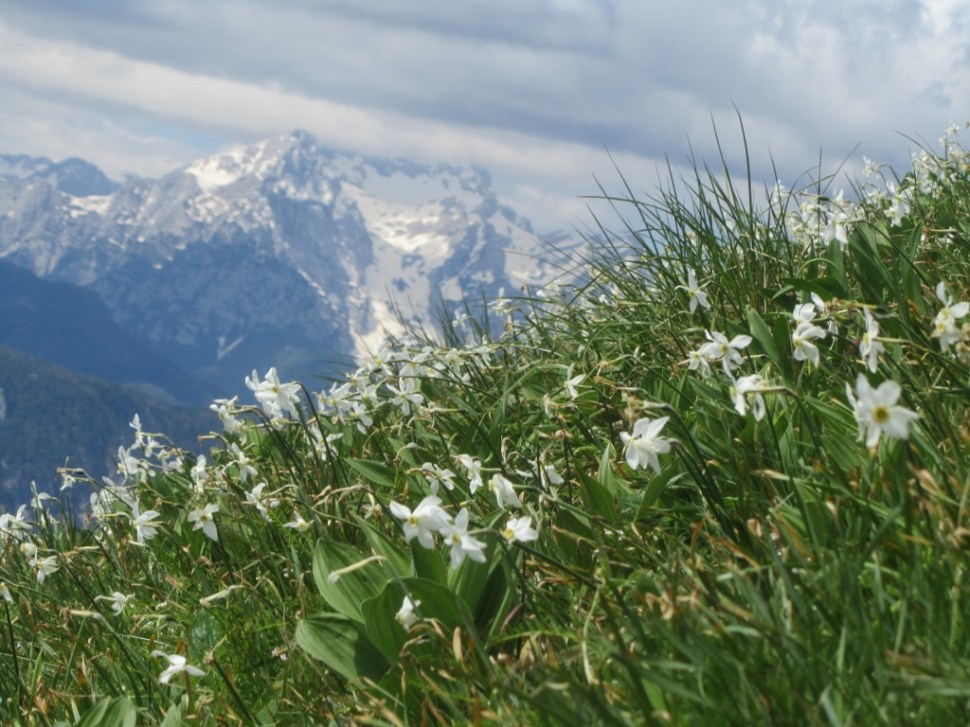 IMG_0053 (1024 x 768)