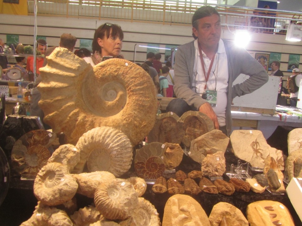 IMG_0057 (1024 x 768)