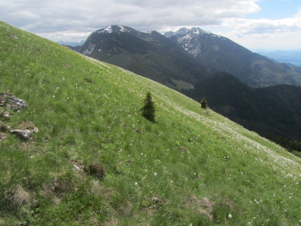 IMG_0062 (1024 x 768)