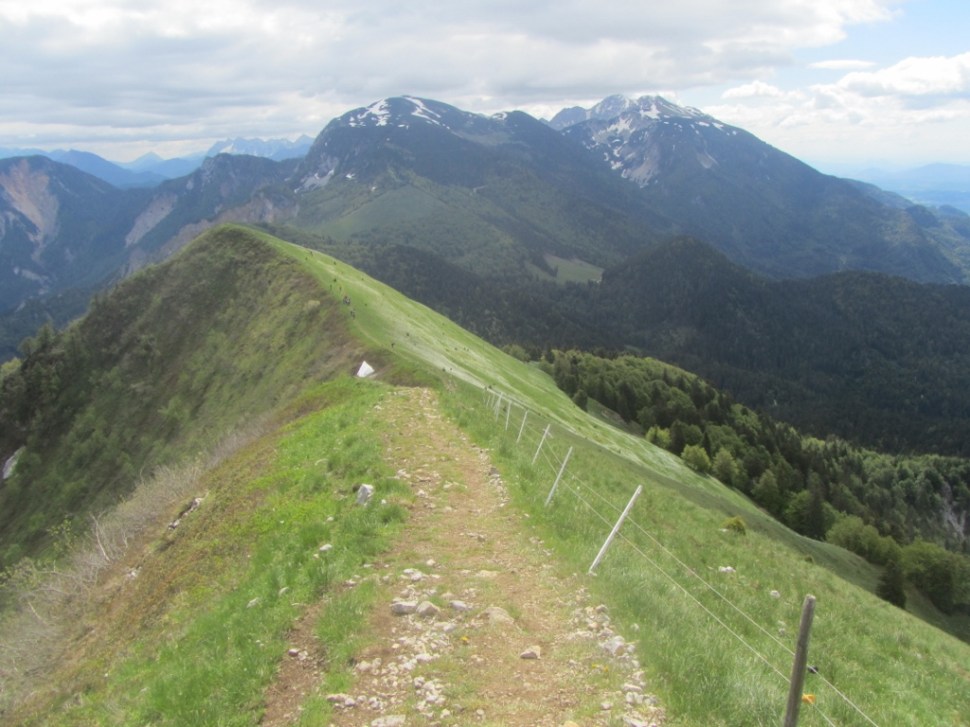 IMG_0065 (1024 x 768)