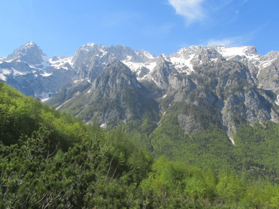 IMG_0168 (1024 x 768)