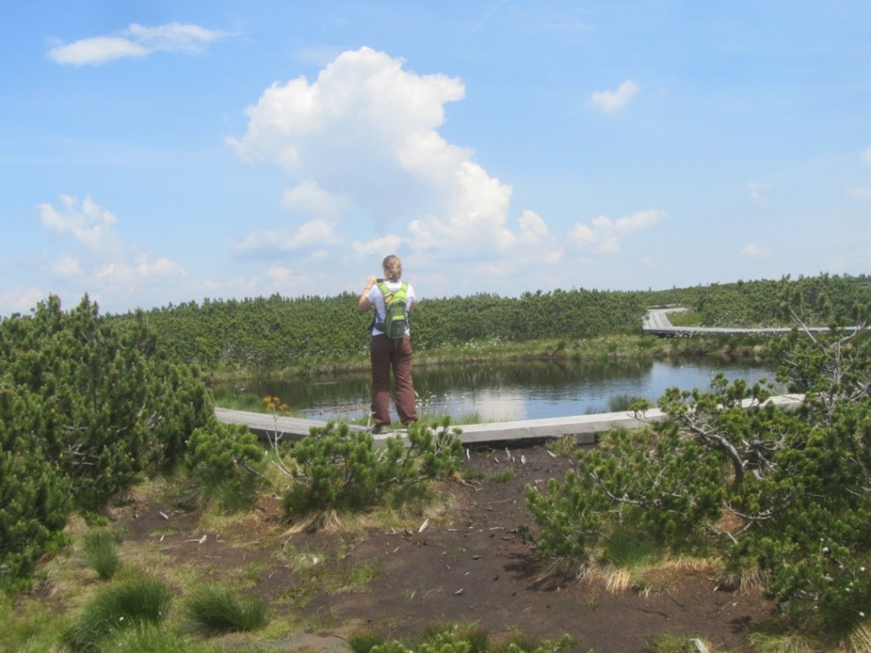 18062014 (101) (1024 x 768)