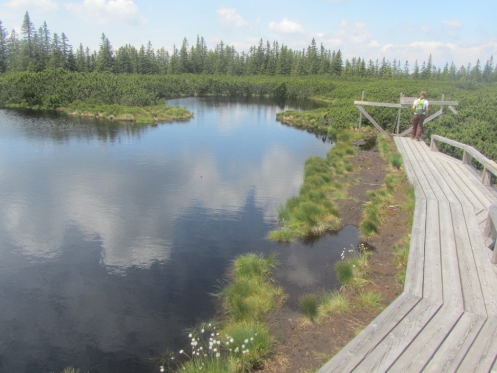 18062014 (114) (1024 x 768)