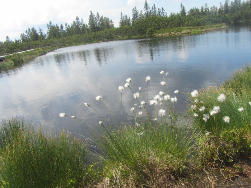 18062014 (117) (1024 x 768)