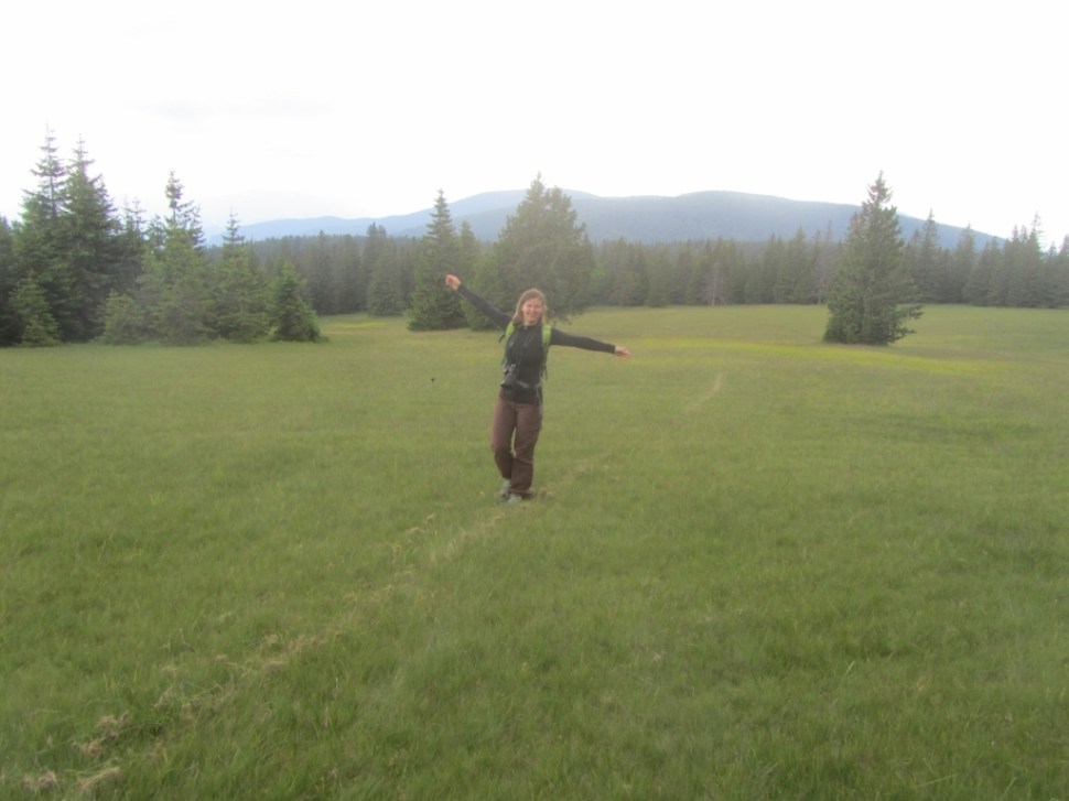 18062014 (137) (1024 x 768)