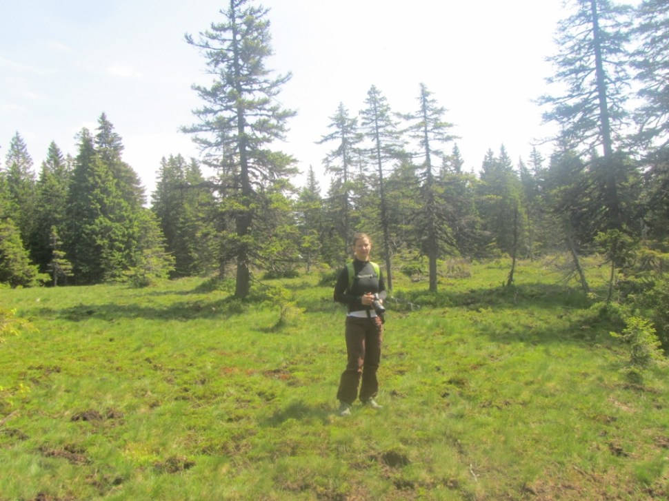 18062014 (16) (1024 x 768)