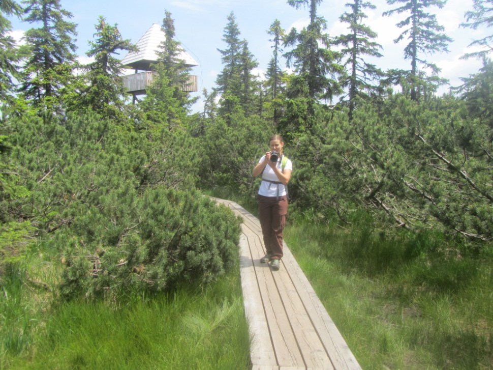 18062014 (54) (1024 x 768)