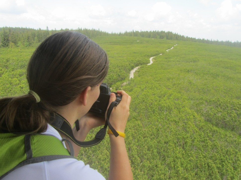 18062014 (64) (1024 x 768)