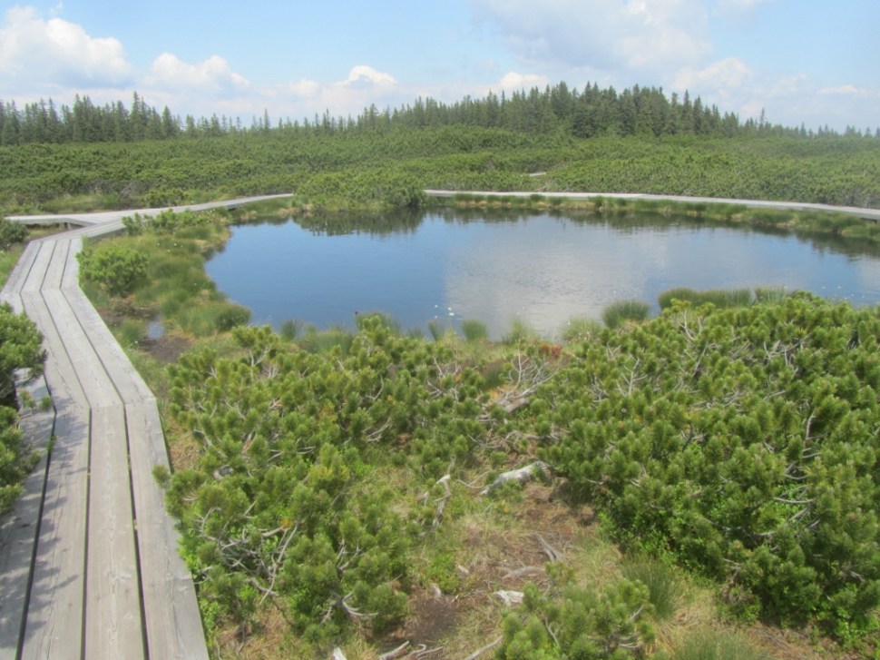 18062014 (91) (1024 x 768)