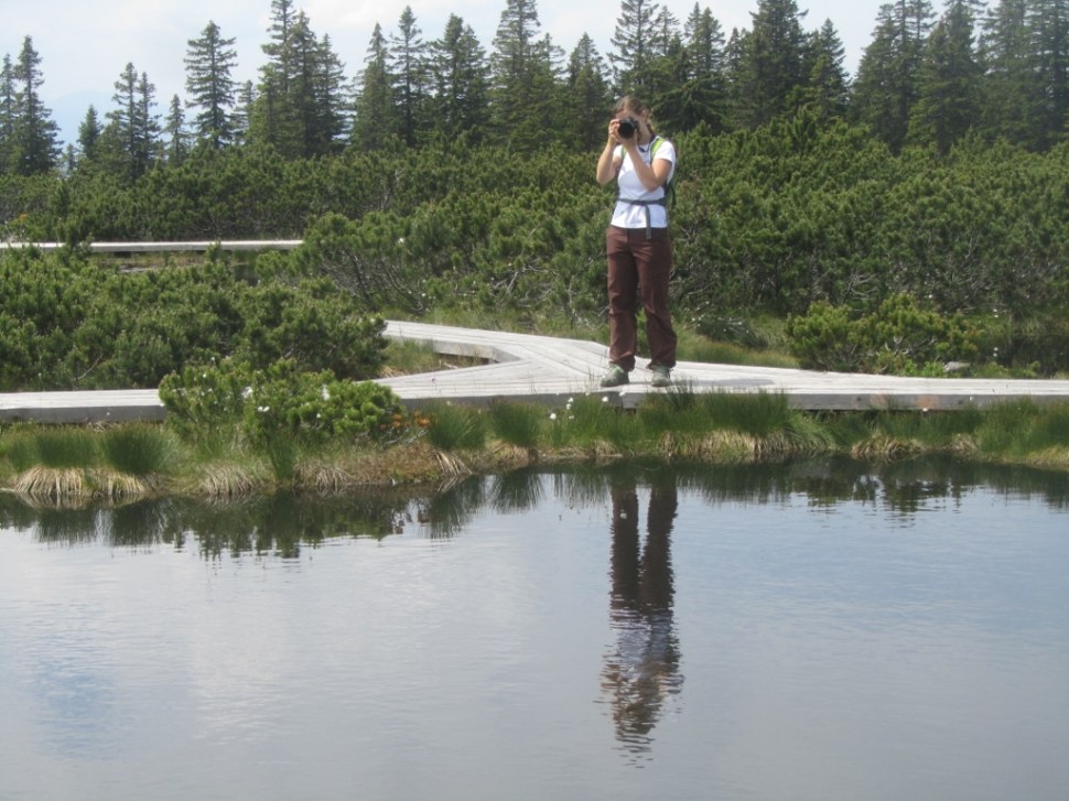 18062014 (96) (1024 x 768)