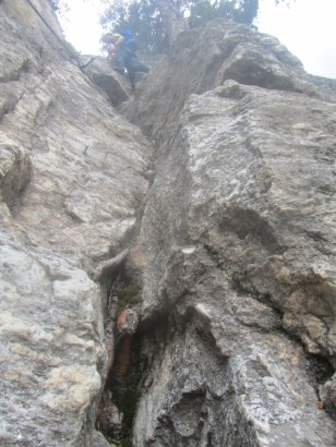 IMG_0081 (768 x 1024)