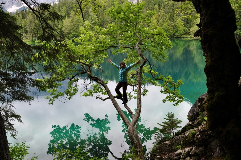 12-13072014k (175) (800 x 531)