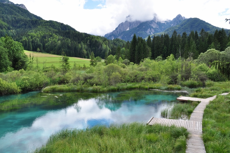 12-13072014k (309) (800 x 531)