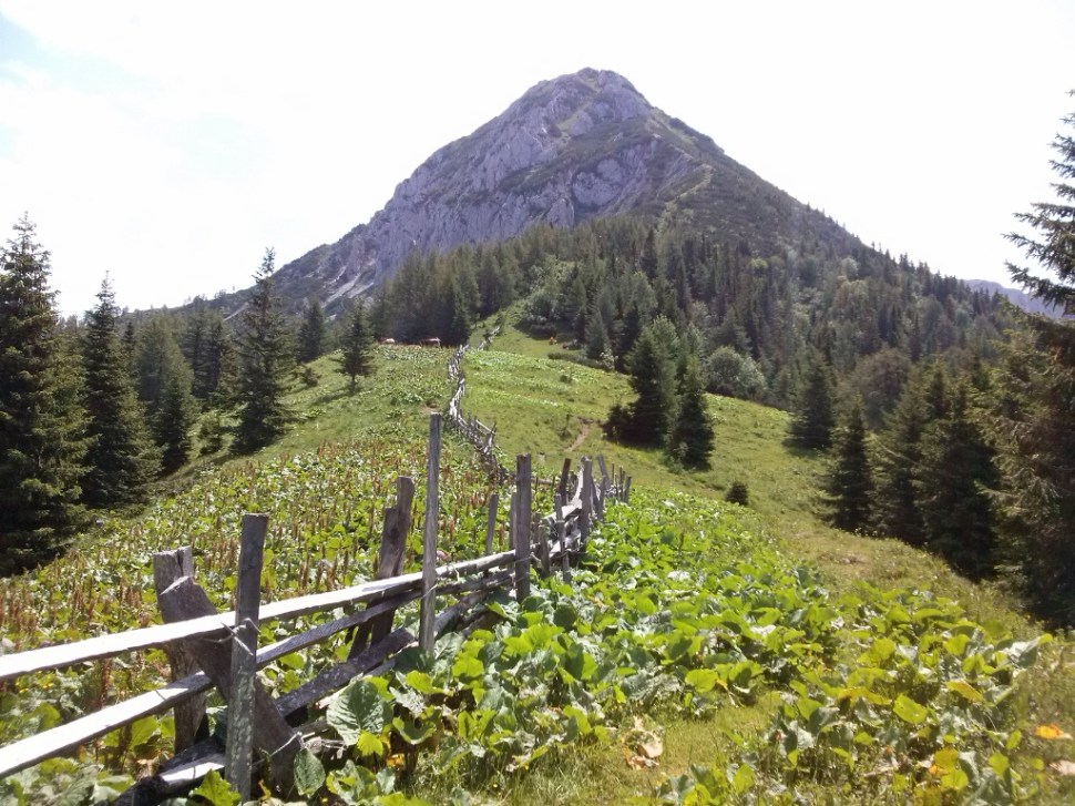 CAM00322 (1024 x 768)