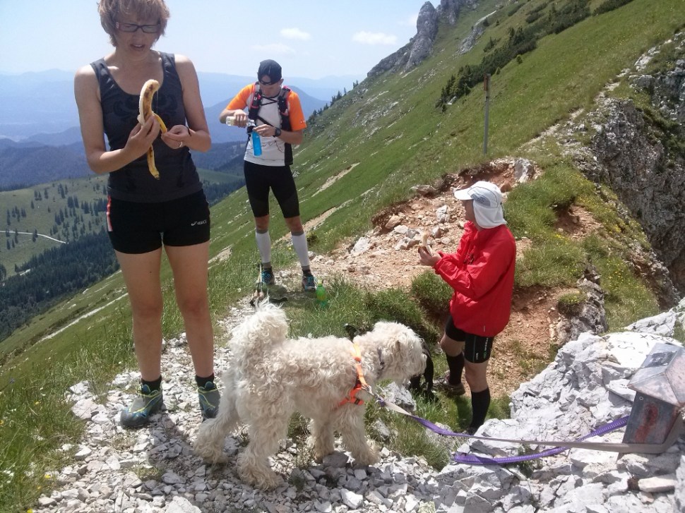 CAM00344 (1024 x 768)