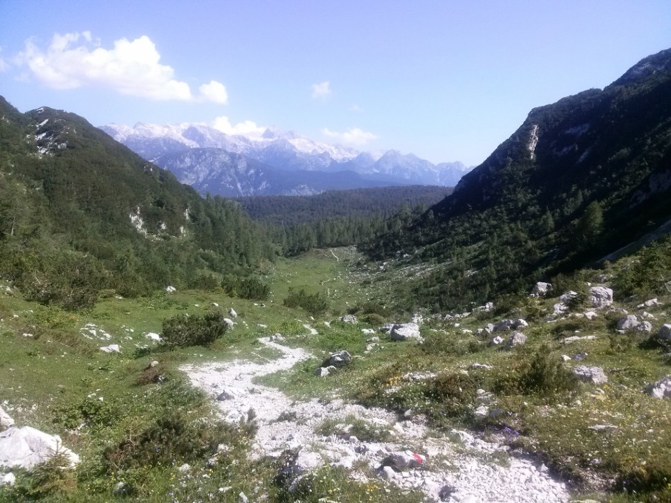 CAM00439 (1024 x 768)