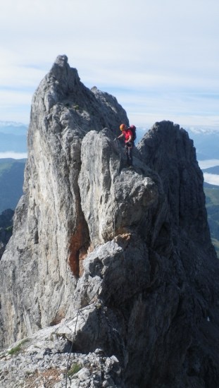 IMGP6968 (578 x 1024)