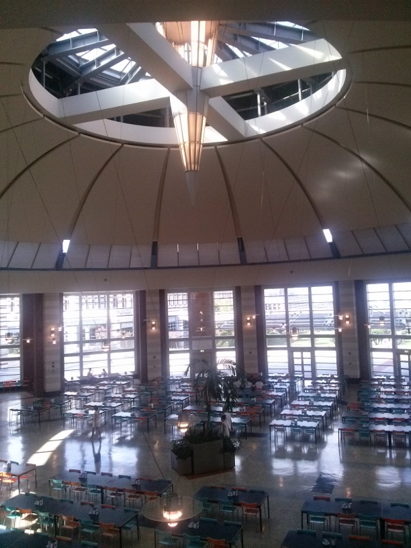 CAM01601 (600 x 800)