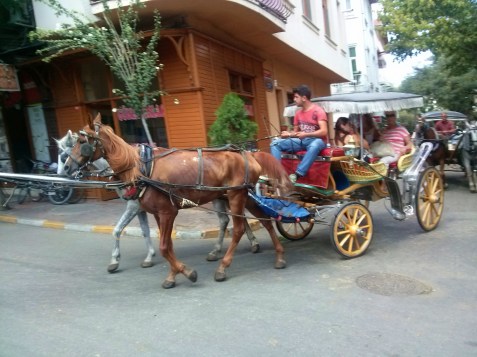 CAM01655 (1024 x 768)