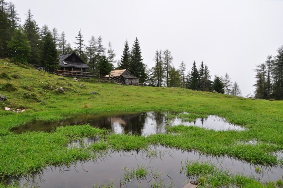 DSC_0339 (1024 x 680)