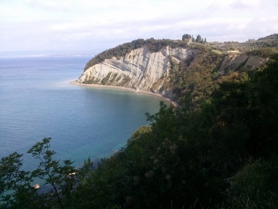 CAM02788 (1024 x 768)