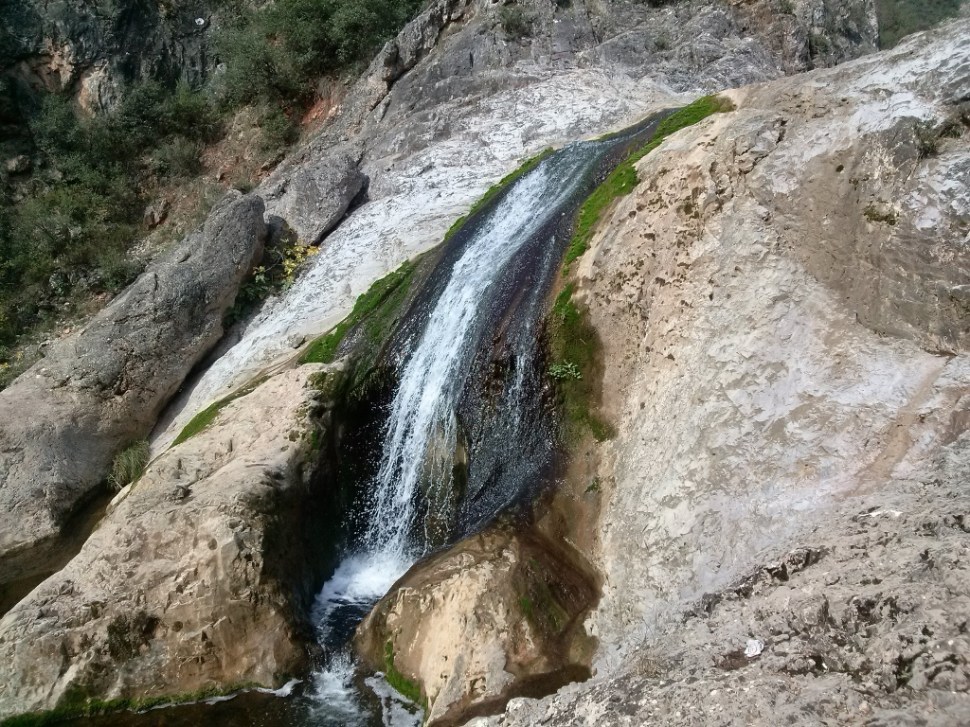 CAM02916 (1024 x 768)