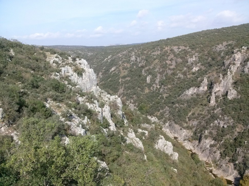 CAM02922 (1024 x 768)