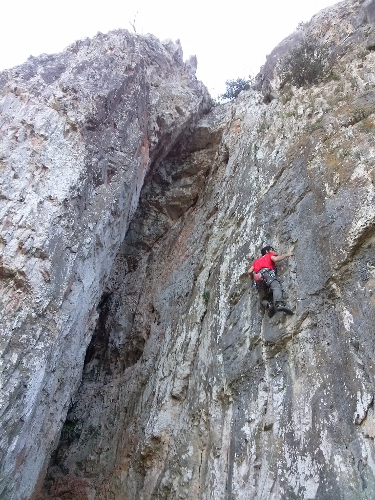 CAM02945 (768 x 1024)